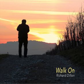Download track Life Is A Roller Coaster Richard Dillon