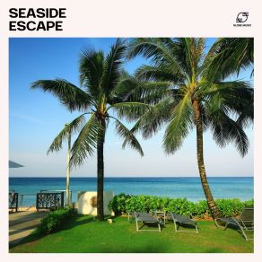 Download track Deep Flow Deep House Sensei