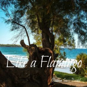 Download track I Believe In A Thing Called Sounds Cuban Jazz Band