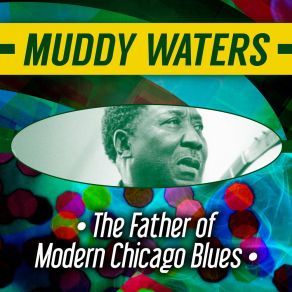Download track Rollin' And Tumblin' (Part 1) Muddy Waters