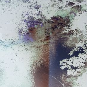 Download track Between The Trees Hakan Olsson