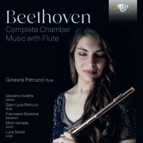 Download track 26 - Serenade For Flute, Violin And Viola In D Major, Op. 25 - I. Entrata. Allegro Ludwig Van Beethoven