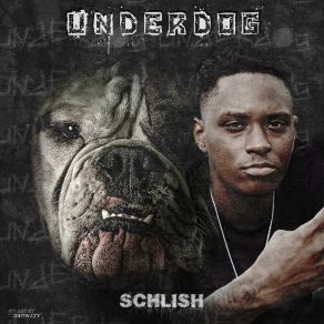 Download track Valuable Lesson Schlish