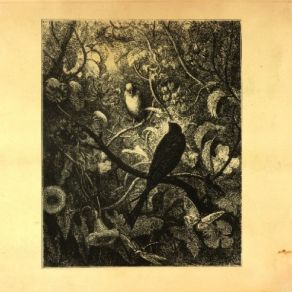 Download track Singular (It's A Fine Line Mix) Discodeine, Matias Aguayo