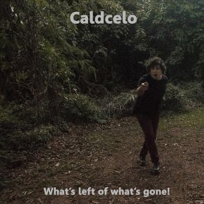 Download track I'm So Free Caldcelo