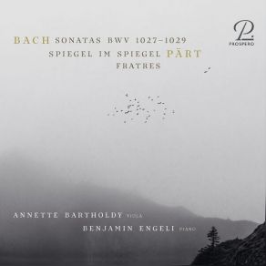 Download track 05. Spiegel Im Spiegel (Version For Viola And Piano)