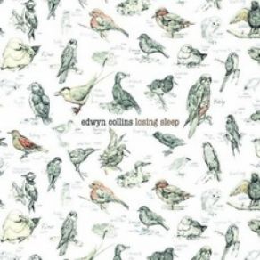 Download track What Is My Role Edwyn Collins