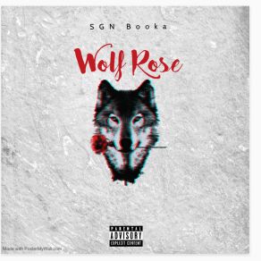 Download track Fast Line SGN Booka