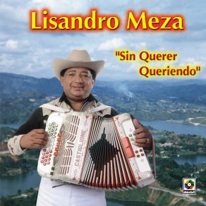 Download track Solo Tengo Ojos Para Ti Lisandro Meza