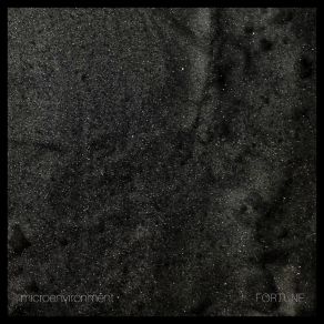 Download track The Future Ain't What It Used To Be Microenvironment