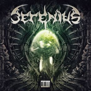 Download track The Shell Serenius