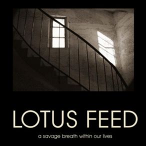 Download track Room With A View Lotus Feed