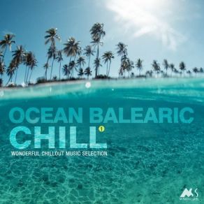 Download track Drift Away (Original Mix) Schwarz & Funk