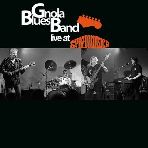 Download track I'm Alone Gnola Blues Band