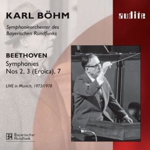 Download track III. Scherzo. Allegro Ludwig Van Beethoven