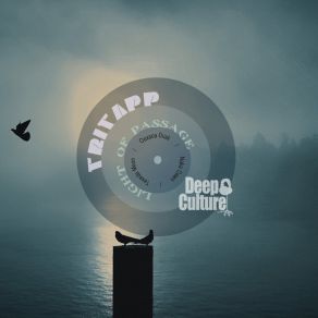 Download track Naka Dawn TriTapp