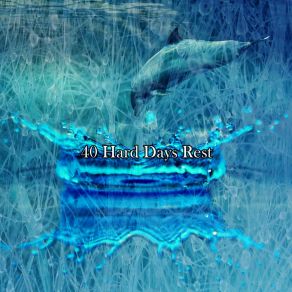 Download track Find Soothing Sleep All Night Sleeping Songs To Help You Relax