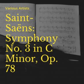 Download track Symphony No. 3 In C Minor, Op. 78: II. Allegro Moderato, Presto, Organ Camille Saint - Saëns