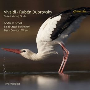 Download track Concerto For Strings In G Minor, RV 156 II. Adagio (Live) Salzburg Bach Choir, Bach Consort Wien, Ruben Dubrovsky