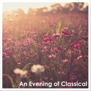 Download track Sonata For Keyboard And Violin In B-Flat Major, K. 15: II. Allegro Grazioso Alina Ibragimova