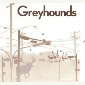 Download track Don't Wait The Greyhounds