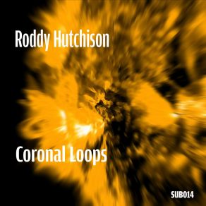 Download track C Loops - Solar Rains Rework Roddy Hutchison