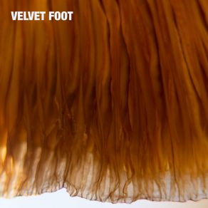 Download track Clean Break Velvet Foot