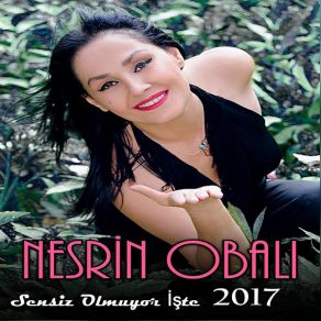 Download track Bir Gecelik Dert Değil Nesrin Obalı