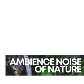 Download track Raining Fish Sounds Of The Forest