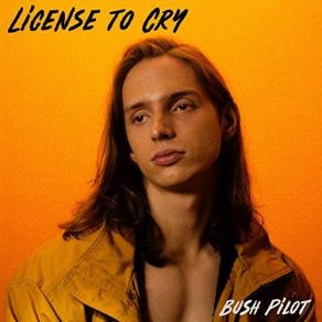 Download track Interlude Bush Pilot