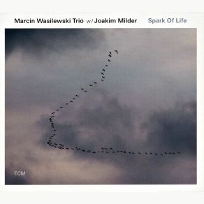 Download track Austin Marcin Wasilewski