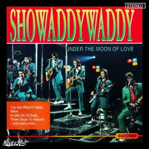 Download track A Little Bit Of Soap Showaddywaddy