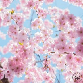 Download track Aether (Random Movement Remix) Random Movement, Marsden