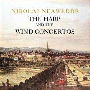 Download track Concerto No. 1 In D Major For Flute And Orchestra: II. Adagio Nikolai Neawedde