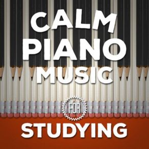 Download track Nocturne No. 20 In C Sharp Minor, Op. Posth. Frédéric Chopin