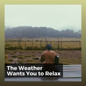 Download track Rain Is Refreshing Rain Radiance