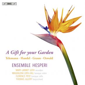 Download track Trio Sonata No. 1 In B Minor, HWV 386b- II. Allegro Ma Non Troppo Ensemble Hesperi