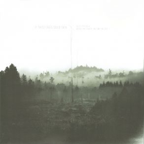 Download track Signal Tree If These Trees Could Talk