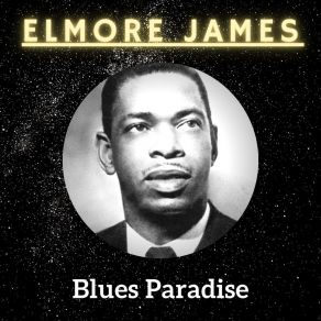 Download track Elmore's Contribution To Jazz Elmore James