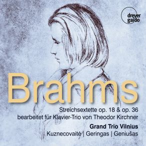 Download track String Sextet No. 2 In G Major, Op. 36 (Arr. For Piano Trio By Theodor Kirchner): IV. Poco Allegro Grand Trio Vilnius