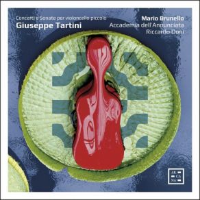 Download track Concerto For Cello, Orchestea And Basso Continuo In D Major, GT 1. D34: IV. Allegro Mario Brunello, Riccardo Doni, Accademia Dell'Annunciata