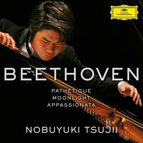 Download track 03. Piano Sonata No. 8 In C Minor, Op. 13 Pathétique III. Rondo. Allegro Ludwig Van Beethoven