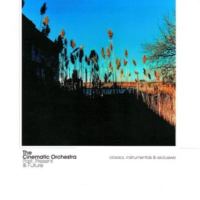 Download track Found Cinematic Orchestra