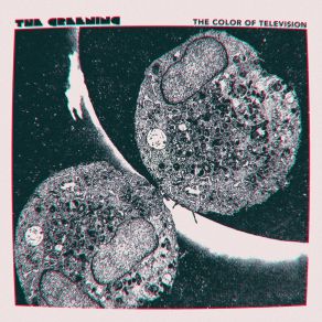 Download track Sun's Coming Up Right Now Greening
