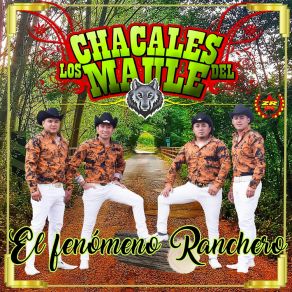 Download track ¿Por Qué? Los Chacales Del Maule