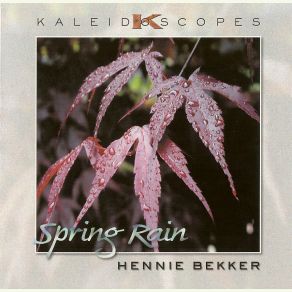 Download track Old Friends Hennie Bekker