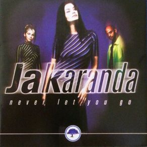 Download track Can'T Stop My Heart From Loving You Jakaranda