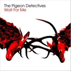 Download track I'M Not Sorry The Pigeon Detectives