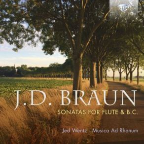 Download track Suite In E Minor: V. Fantasia Jed Wentz, Jed Wentz Musica Ad Rhenum