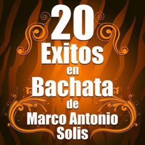 Download track Mi Eterno Amor Secreto, Bachata Bachata Salvaje